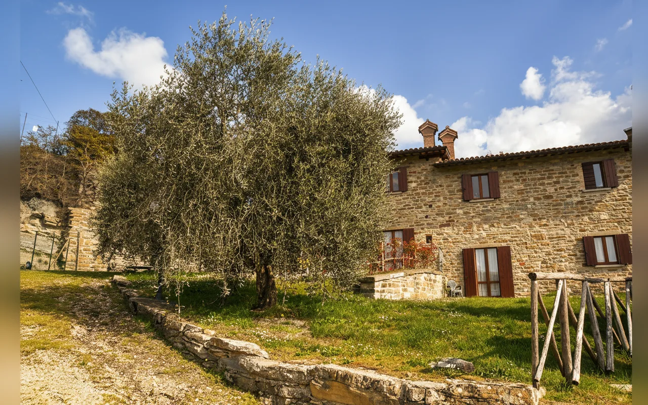 Esterni di CASA CRESTA, Gubbio (Umbria) (foto 5)